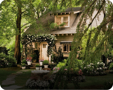 Classic Cottage Garden-portfolio-img