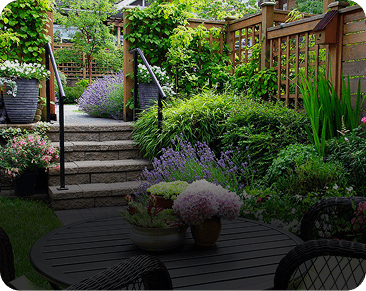 Functional Family-Friendly Yard-portfolio-img