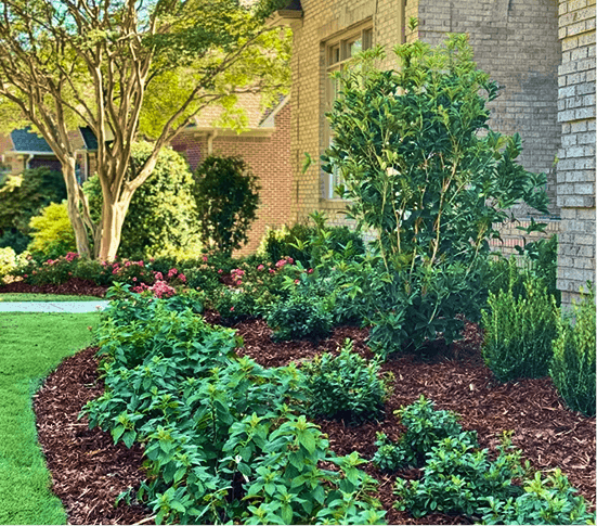 Lawn Care & Maintenance-img